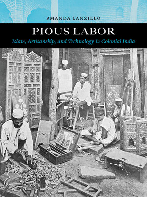 cover image of Pious Labor